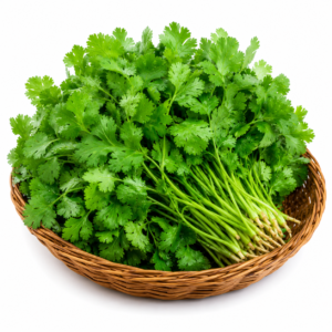 Coriander Leaves (Dhaniya)
